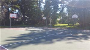 Center Basketball Courts